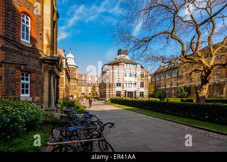 Sedgwick Museum in Cambridge Stockfoto