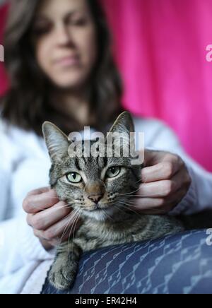 Eine junge Frau streicheln einer Katze, die auf ihrem Schoß sitzt. Stockfoto