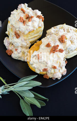 Kekse und Soße mit Salbei Wurst und portugiesische Wurst gemacht Stockfoto