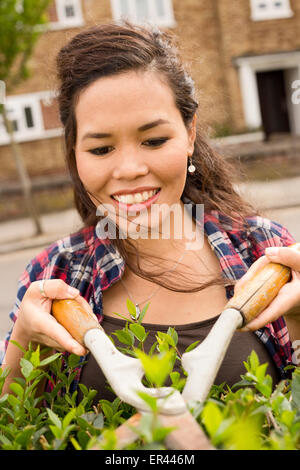 junge Frau, die ihre Hecke schneiden Stockfoto