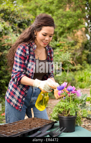 junge Frau Sprühen von Pestiziden auf ihr Blumen. Stockfoto