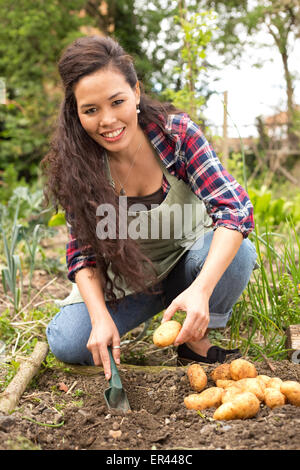 junge Frau Aussaat Kartoffeln. Stockfoto