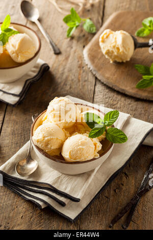 Hausgemachte Bio Vanille-Eis mit Minze Stockfoto