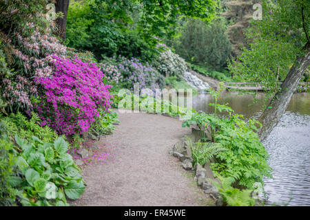 Botanischer Garten im Frühjahr Wroclaw Stockfoto