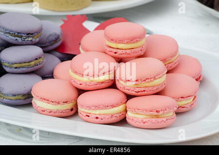 Blau und rosa Macarons auf den weißen Teller Stockfoto