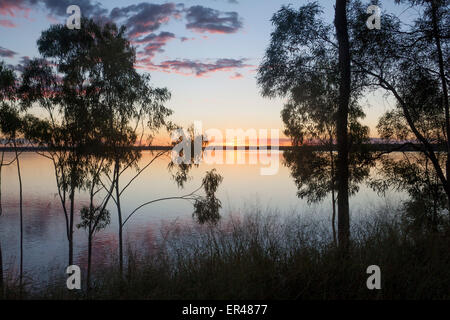 Lake Maraboon Eukalyptus oder Gum Bäumen bei Sonnenuntergang in der Nähe von Emerald Central Queensland Australia Stockfoto