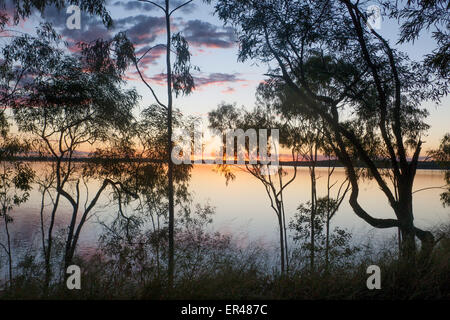 Lake Maraboon Gum Eukalyptusbäumen bei Sonnenuntergang in der Nähe von Emerald Queendsland Zentralaustralien Stockfoto