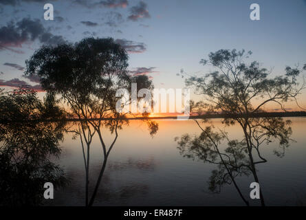 Lake Maraboon Eukalyptus Eukalypten gum Bäumen bei Sonnenuntergang in der Nähe von Emerald Central Queensland Australia Stockfoto