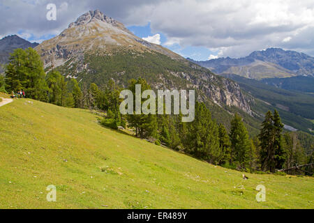 Wanderer auf einer Ebene mit Blick auf Il Fuorn im Schweizerischen Nationalpark Stockfoto