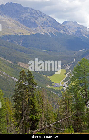 Ebene mit Blick auf Il Fuorn im Schweizerischen Nationalpark Stockfoto