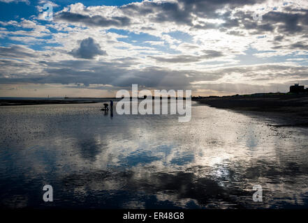 Mann auf der Suche nach Meer Angelköder am Strand Stockfoto