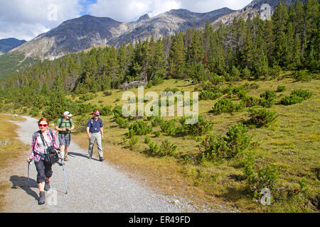 Wanderer am Champlonch, eine alpine Ebene im Schweizerischen Nationalpark Stockfoto