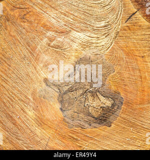 Gestapelte Holzscheite Hintergrund Baum Stockfoto