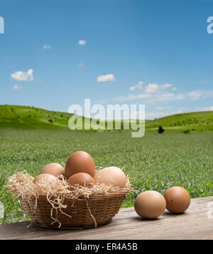 Gruppe von Eiern in Stroh Korb auf Holztisch mit Sommerlandschaft Stockfoto