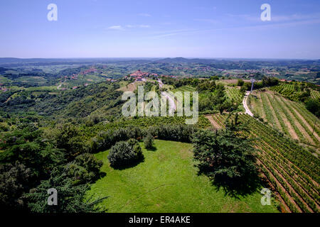 Goriška Brda in der Nähe von italienischen Grenzregion Reben produziert. Stockfoto