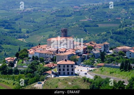 Goriška Brda in der Nähe von italienischen Grenzregion Reben produziert. Stockfoto