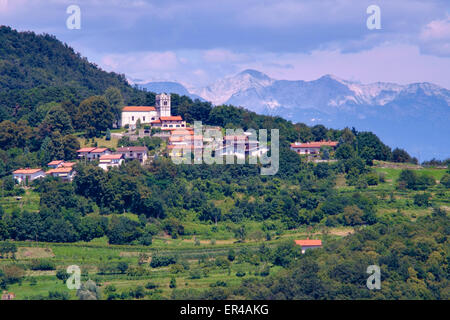 Goriška Brda in der Nähe von italienischen Grenzregion Reben produziert. Stockfoto