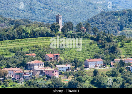 Goriška Brda in der Nähe von italienischen Grenzregion Reben produziert. Stockfoto