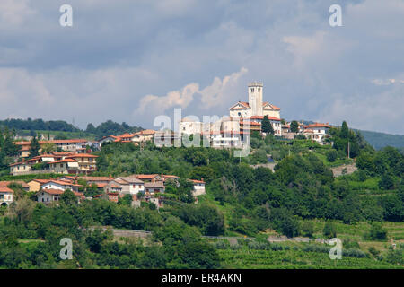 Goriška Brda in der Nähe von italienischen Grenzregion Reben produziert. Stockfoto