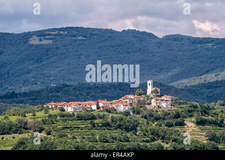 Goriška Brda in der Nähe von italienischen Grenzregion Reben produziert. Stockfoto