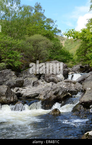 Schnell fließenden Fluss Towy Kaskadierung über Stein Felsbrocken Dinas RSPB Natur Reserve Rhandirmwyn Carmarthenshire Wales Stockfoto