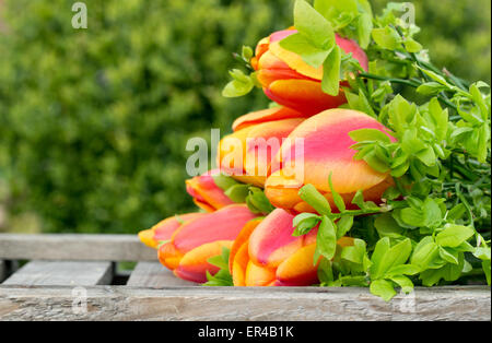 Bouquet mit roten und gelben Tulpen und Heidelbeere Zweige Stockfoto