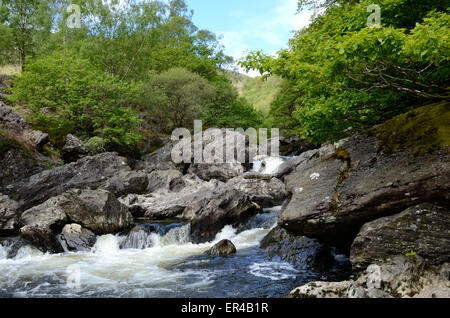 Schnell fließenden Fluss Towy Kaskadierung über Stein Felsbrocken Dinas RSPB Natur Reserve Rhandirmwyn Carmarthenshire Wales Stockfoto