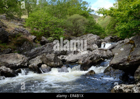 Schnell fließenden Fluss Towy Kaskadierung über Stein Felsbrocken Dinas RSPB Natur Reserve Rhandirmwyn Carmarthenshire Wales Stockfoto