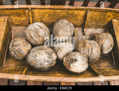 Holzboot mit Kokosnüssen Stockfoto