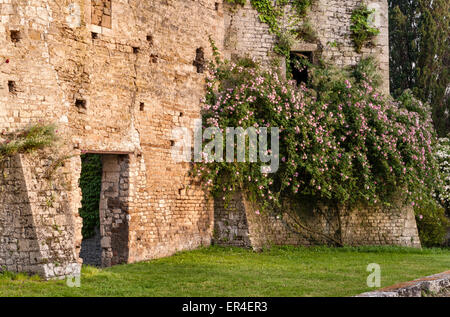 Ninfa, Latina, Lazio, Italien. Ein spektakuläre romantischen Landschaftsgarten inmitten der Ruinen eines mittelalterlichen Dorfes. Stockfoto