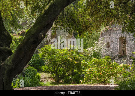 Ninfa, Latina, Lazio, Italien. Ein spektakuläre romantischen Landschaftsgarten inmitten der Ruinen eines mittelalterlichen Dorfes. Stockfoto