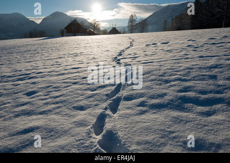 Spuren im Schnee mit Haus im Hintergrund bei Reiterer Plateau in der Nähe von Bad Aussee, Altaussee, Steiermark, Österreich Stockfoto