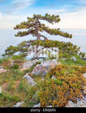 Felsigen Seelandschaft der Krim, Ukraine Stockfoto