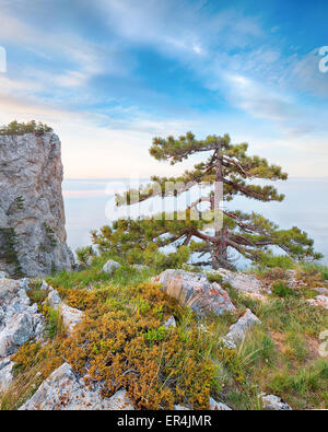 Felsigen Seelandschaft der Krim, Ukraine Stockfoto