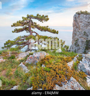 Felsigen Seelandschaft der Krim, Ukraine Stockfoto