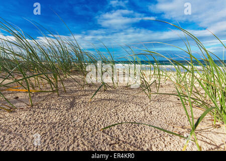 Sonnenstrand mit Sanddünen, Gras- und blauer Himmel, Sunshine Coast, Australien Stockfoto