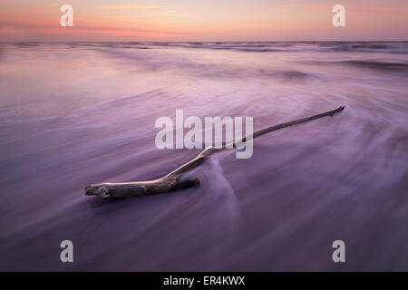 Filiale am Strand mit Wellen Motion Blur Stockfoto