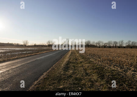 Ländlichen Landstraße durch Kornfeld im Winter, Indiana, USA Stockfoto