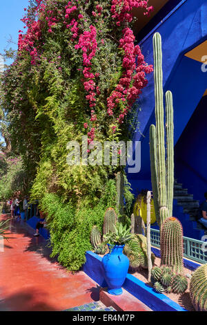 Majorelle Garten ist ein zwölf Hektar großen Botanischen Garten und Landschaftsgarten des Künstlers in Marrakesch, Marokko. Stockfoto