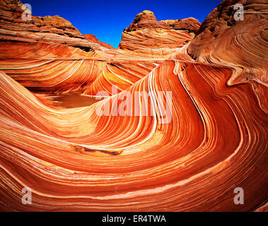 Die Welle, Coyote Buttes - Utah. Ich nahm dieses Bild mit einer großformatigen Kamera 4 x 5' Stockfoto