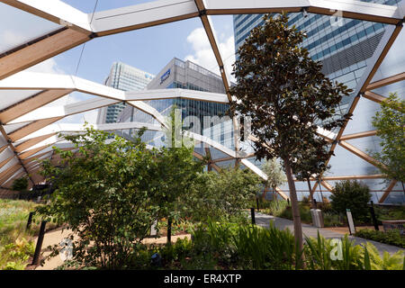 Das neu eröffnete tropische Dachgarten Canary Wharf Crossrail Station, London Docklands Stockfoto