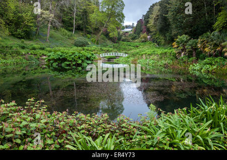 Der See Trebah Gärten in Cornwall. Blick über den Steg auf das Haus an der Spitze des Tales. Stockfoto