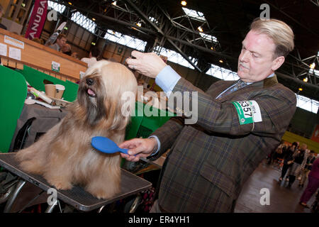 Man Grooming at Crufts 2014 im NEC in Birmingham, Großbritannien. März 2014 Stockfoto