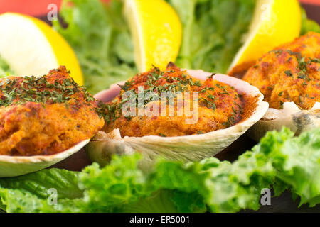 Gefüllte erfahrene Muscheln mit Romaine Kopfsalat und Zitrone Keile auf einem rustikalen Teller garniert Stockfoto