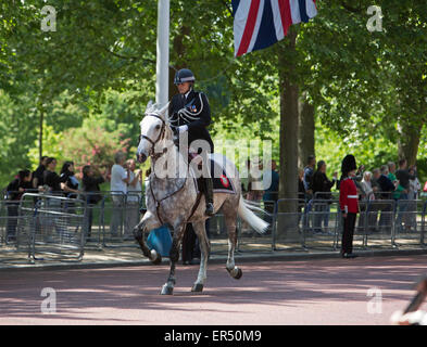 Westminster, London, UK. 27. Mai 2015. Polizist galoppiert auf dem Pferderücken in der Mall, während die Zustand-Öffnung des Parlaments in Londo Credit: Keith Larby/Alamy Live News Stockfoto