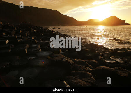 Causeway.County Antrim.Northern Ireland.UK.Europe.Typical sechseckige säulenartige Basalt des Riesen Stockfoto