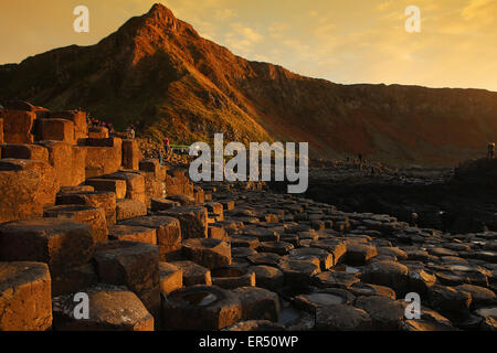 Causeway.County Antrim.Northern Ireland.UK.Europe.Typical sechseckige säulenartige Basalt des Riesen Stockfoto