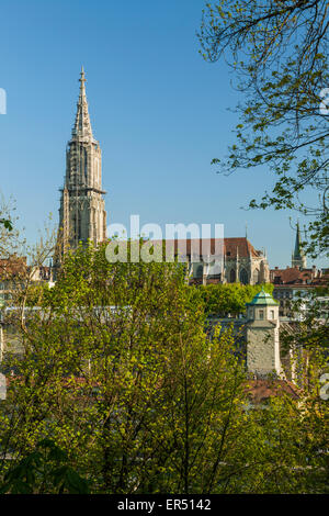 Frühling am Morgen in Bern, Schweiz. Stockfoto