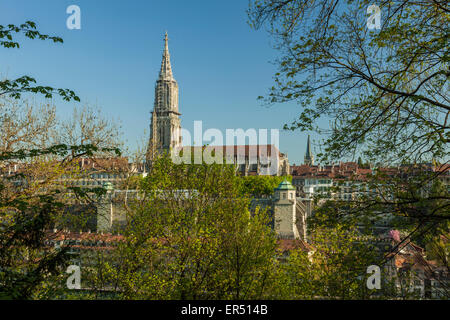 Frühling am Morgen in Bern, Schweiz. Stockfoto