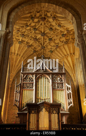 Architektur der Kirche. Die reich verzierten viktorianischen Orgelpfeifen und Teil des prächtigen historischen gewölbte Decke von Sherborne Abbey in Dorset, England, UK. Stockfoto